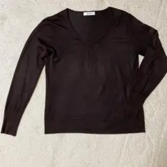 PINORE ブラウン Vネックニット 長袖　ラメ入り