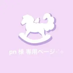 〖 pn 様 〗専用ページ