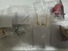 ガンダムヘッド　めじるしアクセサリー