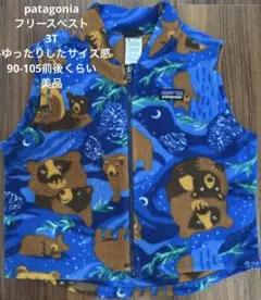 美品Patagonia クマ柄 フリースベスト 3T