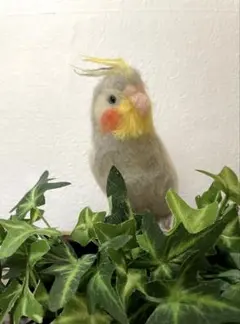 羊毛フェルト オカメインコ ノーマル オス - メルカリ