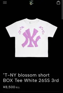 NY Bellamonte tee ベラモンテ Tシャツ ストリート y2k