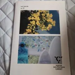 CARAT MAGAZINE vol.12