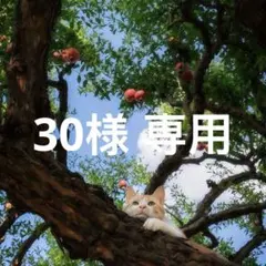 30様 専用