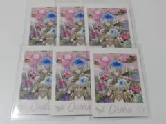 ツイステ展　ランダムコレクションカード　オルト