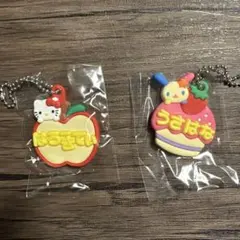 サンリオ メルヘン工房 おなまえホルダー ウサハナ　ハローキティ