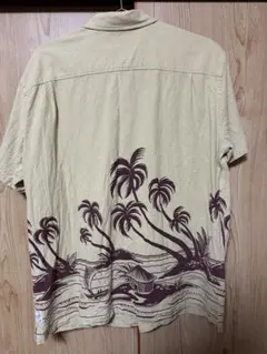 Item thumbnail for item 881791c7-e7e0-485d-b2f5-bdb012439d64