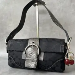 Y2K COACH Soho Python Signature Bag