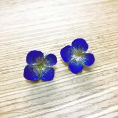 Item thumbnail for item 7a80777d-3ccf-4c3b-a496-753b5778b3f2