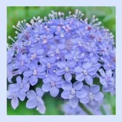 yuzin様 リクエスト 6点 まとめ商品