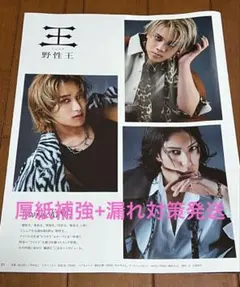 anan 切り抜き　橋本涼 佐々木大光 ヴァサイェガ渉