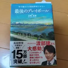 最後のプレイボール : 甲子園だけが高校野球ではない