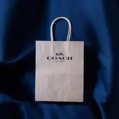 ①③ 未使用品 ■ コーチ COACH ショッパー 紙袋