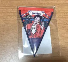 カリスマ 伊藤ふみや ペナント