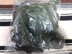 Item thumbnail for item 6f0ae6c7-f7e3-45b1-9f4f-571692fc0e1f