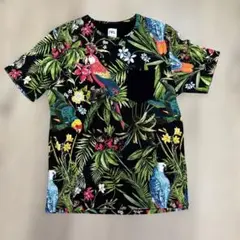 メンズ　ZARA Tシャツ　ボタニカル柄　サイズＭ ZARA