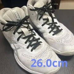 Item thumbnail for item 76e7fc28-570f-4e7c-8aec-1a7ed308e772