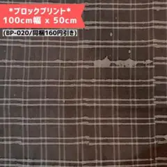 【BP020】インド更紗/ブロックプリント/商用可(同梱160円オフ)