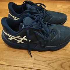 アシックス　アンプレアルス2low　26cm
