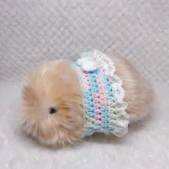 2026年最新】moflin モフリンの人気アイテム - メルカリ