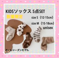 ⭐︎KIDS ソックス 5点セット ⭐︎ クマ ユニセックス S/Mサイズ