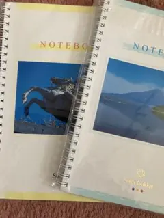 Item thumbnail for item 5c35bdac-3721-46f1-88bb-25462659f260