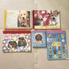【平成レトロ】　子犬実写版　メモ帳 5冊セット　【激レア】