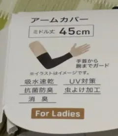 Item thumbnail for item 0378c901-e662-4dcd-b31a-6fe3d71f8d24