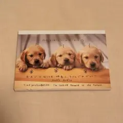 d*7様 平成レトロ 実写犬 メモ帳
