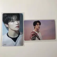 ディノ　トレカ　舞花　舞い落ちる花びら　HMV FALLIN FLOWER DI