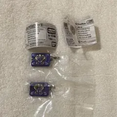 仮面ライダー めじるしアクセサリー3 王蛇 カードデッキ×2