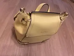 犬、猫、キャリーバッグ ほぼ未使用Samantha Thavasa購入 - メルカリ