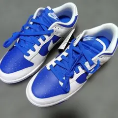 NIKE DUNK LOW レトロ DD1391-401