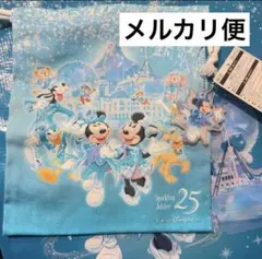 ディズニーシー２５周年限定　巾着　キーホルダー付き