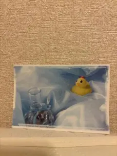 美しい彼　ポストカード