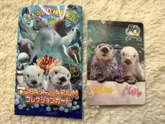 鳥羽水族館 コレクションカード ニコイチカード ラッコ メイ キラ