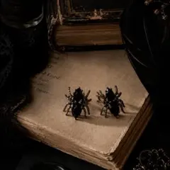 No.002　Dark Spider　這う黒蜘蛛