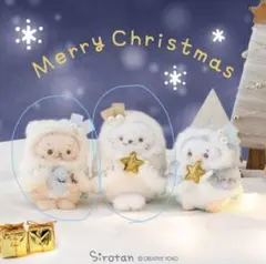 2025年最新】しろたん ぬいぐるみ ホーリーの人気アイテム - メルカリ