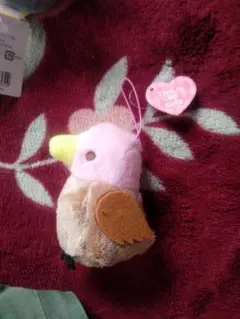 This is so cuteインコぬいぐるみ