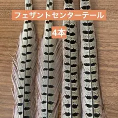 Item thumbnail for item 24c2ead5-3afd-4b20-a88c-a1e4f6591492