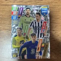 Panini Adrenalyn FIFA 365 トレーディングカード