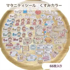 Dear Mama Seal マタニティフレークシール 妊娠記録 母子手帳