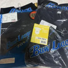 Item thumbnail for item 70c2ec8a-32ea-4802-860b-4dd71d39d5b0