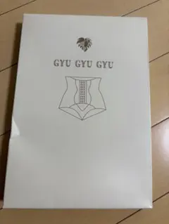 GYU GYU GYU 骨盤ショーツ Mサイズ ベージュ