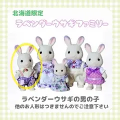 ラベンダーウサギファミリー ラベンダーウサギの男の子