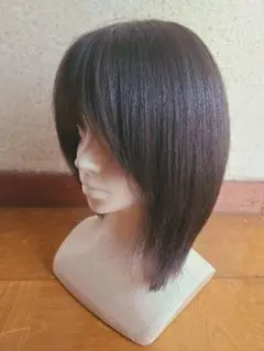 アクアドールビーナス人毛ミックス ボブウィッグ Sサイズ