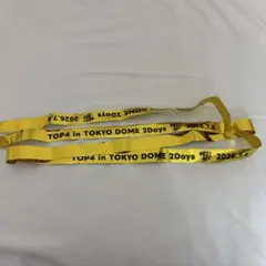 TOP4 in 東京ドーム 銀テ - メルカリ