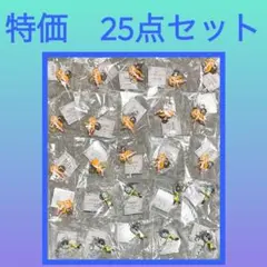 ［特価］ワンピース フィギュア キーホルダー vol.7 25点セット