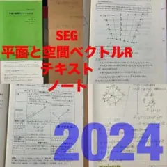 SEG　平面と空間のベクトルR　鉄緑会河合塾Z会SEG東進　おまけ全講義ノート