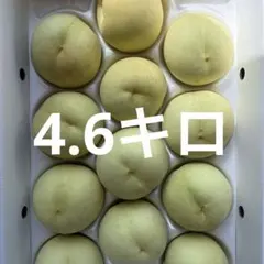 岡山県産一宮ブランド白皇4.6キロ家庭用 岡山県産一宮ブランド白皇4.6キロ家庭用 - メルカリ